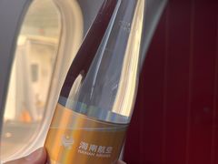 -海南海航航空信息系统公司