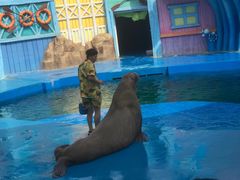 -华夏文旅海洋公园