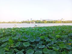 -济南大明湖景区