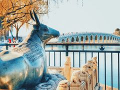 -颐和园