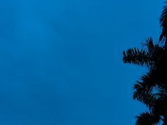 -白石龙音乐公园