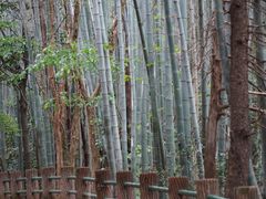 -敬亭山风景名胜区