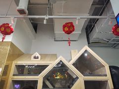 -FAIRYLAND龙族星球主题餐厅(凯丹广场店)