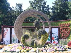 -上海共青森林公园