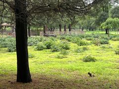 -承德避暑山庄景区