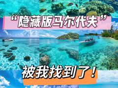 -盐洲岛