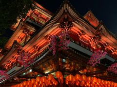 -新加坡佛牙寺龙华院
