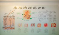 -宜肤清颜专业祛痘问题肌修护