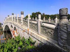-顺峰山公园