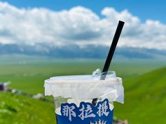 -新疆那拉提国家旅游度假区