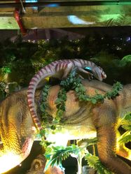 -恐龙探索乐园(磁器口店)