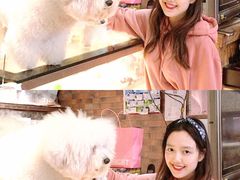 -more than meow吴止猫主题餐厅(承德 中船汇店)