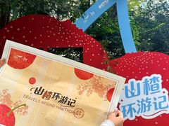 -凤凰汇购物中心