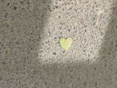 -瑞幸咖啡(文峰城市广场4F店)