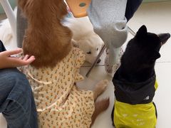 -怪兽屋·羊驼·猫咖·狗咖(俊华广场店)