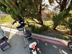 -养马岛旅游度假区