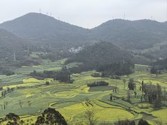 -牛街螺丝田