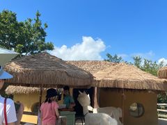-珠海海泉湾神秘岛亲子乐园