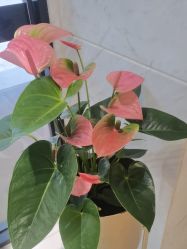 -木北护肤造型