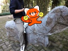-瀛洲公园