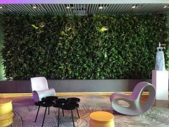 -上海外滩英迪格酒店