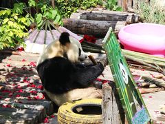 -大连森林动物园