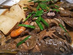 -东来菜馆•手抓海鲜家常菜•海鲜锅贴(鸽子窝店)