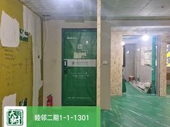 -大树装饰·十年本土家装