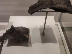 -遵义会议纪念馆