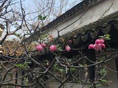 -裕兴记·三虾面(西北街总店)