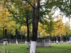 -重庆市江北嘴中央商务区中央公园