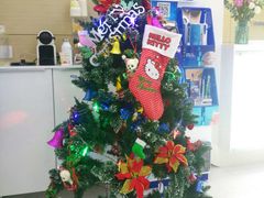 16年圣诞-岳辰齿科(浦东长泰店)