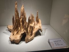 -香市公园-中国沉香文化博物馆