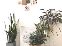 -隹木咖啡馆(宝龙广场店)