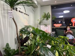 点击看大图 -Lumi露米·美甲美睫品质店