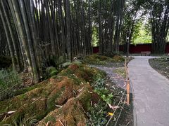 -望江楼公园