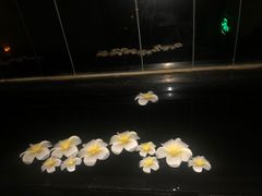 -Dragonfly悠庭·按摩Spa(浦东嘉里城店)