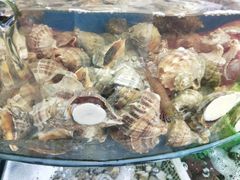 -渔中舟海鲜大排档(普陀沈家门店)