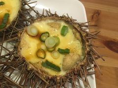 -海胆小馆(东北水饺·春柳店)