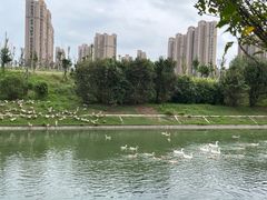 -菊园百果园