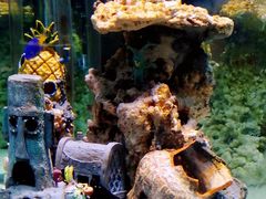 -太平洋海底世界