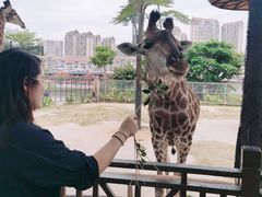 -灵玲国际马戏城