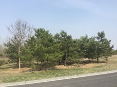 -东郊湿地公园