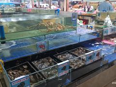 水产区-三亚新鸿港水果一级批发市场
