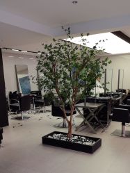 点击看大图 -付军剪艺JF ProSalon