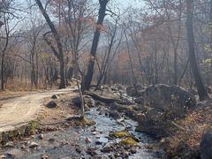 -玉渡山自然风景区