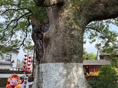-新安江山水画廊风景区