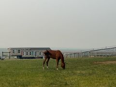 -呼和诺尔旅游景区