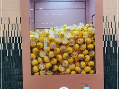 -元气寿司(东方宝泰店)