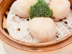 -新雅粤菜馆(南京东路店)